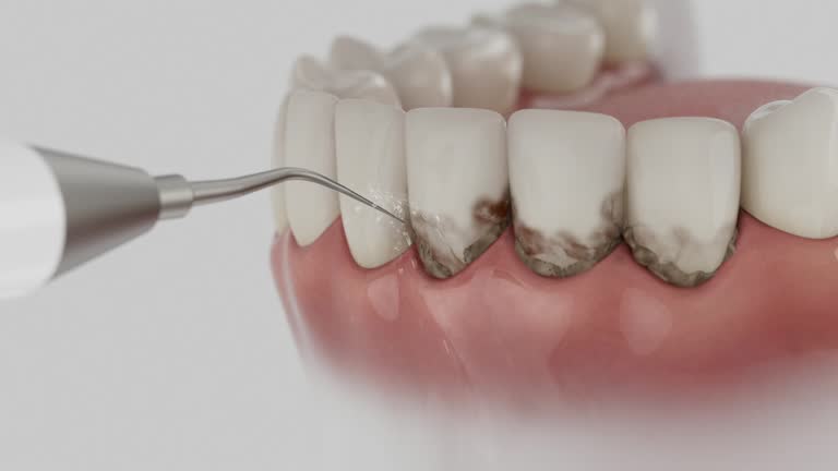 Reliable Dental contractor in Luray, VA by Dentist Open Now